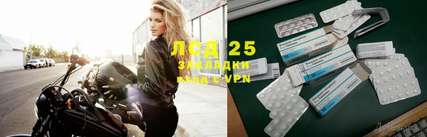 трава Верея