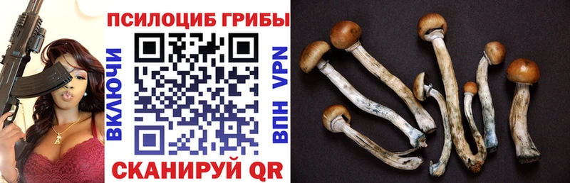 Галлюциногенные грибы мухоморы  цена наркотик  blacksprut tor  Черноголовка 